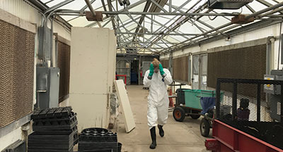 horticulture employee in greenhouse