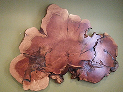preserved wood as art piece