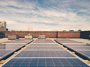 solar panels on top of building