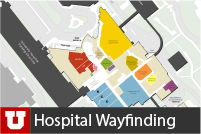 Hospital Wayfinding